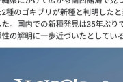 クラシエ公式「ゴキブリの新種発見、朝から嬉しくないニュースですね…」→生物界隈が激怒、炎上