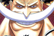 『ONE PIECE』愕然！！ 四皇「白ひげ」の懸賞金が謎！！白ひげ「略奪しない！ラフテルは目指さない！家族ごっこしたいだけ！」海軍「懸賞金は50億4600万ベリーね」←これｗｗｗｗ