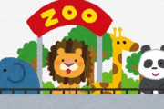 【大阪】『お待たせしました』天王寺動物園24日から再開　感染可能性低いと判断
