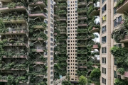 【なぜ？】中国の大都会にジャングルが出現した理由とは