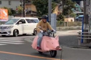 豚に改造されたバイクで道路を疾走する動画