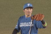 【vs.ロッテ】日ハム上川畑、好プレー！