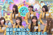 【日向坂46】若林激似の猫について、ひなあいで触れるｗｗｗｗｗｗｗｗｗｗｗｗｗ