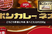レトルトカレー業界、袋（パウチ）のままレンジでチンできる商品が売れてしまう…