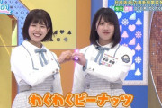 【日向坂46】「わくわくピーナッツ」結成の瞬間はこれかｗｗｗｗｗｗｗｗ