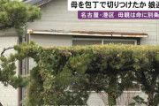 【速報】子供部屋おばさん（33）が母親を包丁で殺そうとする凶悪事件が発生