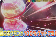 【ポケモン剣盾】速報！「ダイマックスアドベンチャー」伝説捕獲率100%！好きなボールで捕まえよう！【冠の雪原】