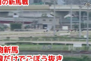 大井のシテイタイケツの新馬戦が海外でも話題に「史上最も衝撃的デビュー」20馬身ポツン→ごぼう抜き