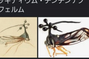 【画像】ふざけた名前をつけられた可哀想な虫さん、発見される