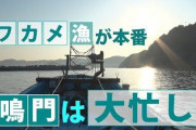 【！？】実際、「漁師」にはほぼハゲがいないんだよな・・・これはつまり