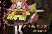 【FGOフェス2023】『Fate/Samurai Remnant』に逸れサーヴァント「タマモアリア」「クーフーリン」が参戦