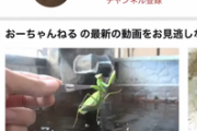 人気YouTuber、カマキリを露天風呂に入れ寄生虫が出てくる様子を投稿→炎上して逆ギレ