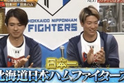 【超プロ野球ULTRA】日本ハム上沢＆松本コンビで優勝！