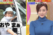 【画像】新井恵理那アナ、2枚目立ってるやんけ