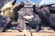 「モンハンの二頭同時クエスト」ってどうなの？タイマンの方が楽しくね？
