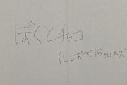 7歳息子の自由研究「愛犬はどうしてこんなにかわいいのか」に大反響　おばあちゃんワンコとの暮らしを見つめたレポートに感動の声