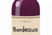【無能】ちょっと前俺「ストロングゼロが9%だから12%のワインとかもっと酔えるんだろうなあ」ﾜｸﾜｸ