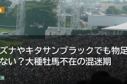 キズナやキタサンブラックでも物足りない？大種牡馬不在の混迷期