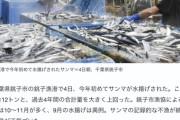 サンマ、豊漁すぎて1日で過去4年間の合計漁獲量を上回る