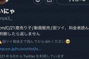 【悲報】モザイク無し動画で逮捕された女さん、Twitterフォロワー数が4万人を超えるｗｗｗｗｗ
