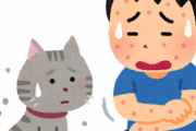 ワイ猫アレルギー、ネッコを飼った結果ｗｗｗｗ