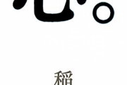 お前ら次のうちどれか一つを最高の健康状態にできるなら、どれにする？ 「歯」「髪」「肌」「心」
