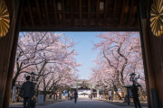 中国人「靖国神社は本当に美しい」