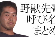 野獣先輩のあだ名で打線組んだ