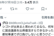 ツッコミ何処しかないからだぞ　〜　パさん「ネトウヨが蓮舫叩くのは蓮舫が優秀で仕事できて絶妙なポイントで与党を攻めるから」