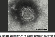 日本政府､福岡･栃木･愛知･岐阜･大阪･兵庫･京都に緊急事態宣言へ