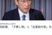 【悲報】岸田総理、少子化対策へ「独身税  子無し税 出産給付金」を検討