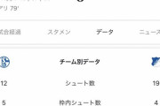 【速報】シャルケ04さん、30試合ぶりで約1年ぶりの勝利キターー！！ｗｗｗｗｗ
