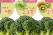【朗報】ブロッコリー、実はすごい栄養を秘めているｗｗｗｗｗｗｗｗｗ（画像あり