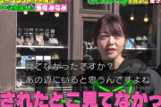 AKB48峯岸みなみ「騙してしまった皆さん、 ごめんなさい！！！！！！！」欅坂46副キャプテン守屋茜を脱落させたTHEシークレットだったことが判明【変装かくれんぼ ハイド＆シーク】