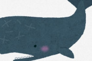 クジラって優しいイメージ付いてるけどマッコウクジラは普通に怖いよな