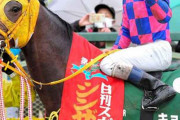 1/8（日）第57回 日刊スポーツ賞 シンザン記念（GIII）