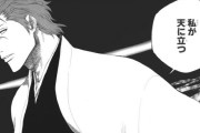 BLEACHは愛染で終わってれば神漫画だったのにな・・・