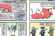 麻酔銃の理想と現実