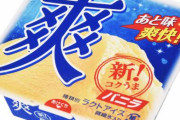 【速報】1番美味いバニラアイス、なんJ民の9割が一致