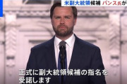 【悲報】バンス副大統領候補「ハリスは子供がおらず猫好きの哀れな女w」元反トランプだし、こいつトランプ落とす工作員だろｗｗｗ