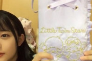 【SKE48】川嶋美晴のペンライトケース!!!
