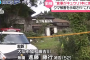 【悲報】無職こどおじ（52）、食事キュウリ1本にブチギレ親を殺 害