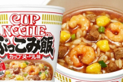 ？？？「カップ麺の残り汁にご飯入れて食ってる」