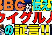 トランプ「実質大統領！」日本「二人の大統領が存在！」米軍「ﾄﾗﾝﾌﾟ路線で動くぜ（政権と真逆」バイデン政権「情報くれよ」国防総省「作戦進行中だから拒否（意味深」→