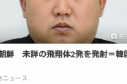 ヤフーさん、金正恩氏てふざけてしまうｗｗ