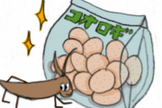 【訃報】コオロギ食の業者さん、終了のお知らせ.....