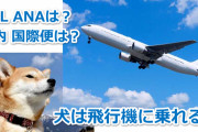 【速報】JAL、ペット持ち込み解禁を検討。IMALU、梅宮アンナ、明日花キララら動物好き有名人の抗議受け