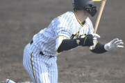 【阪神２軍】中野の状態が上昇ムード　復帰から２戦連続安打をマーク