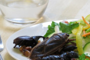 【昆虫食】食った中で1番不味かった昆虫ってなんや？
