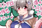 【艦これ】目的の為なら手段を選ばなそうな艦娘